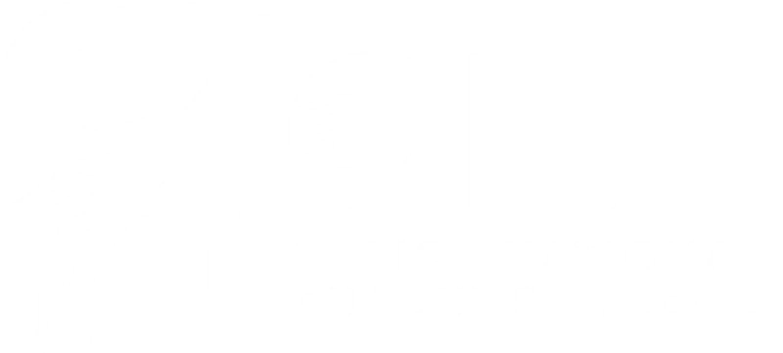 Logo Office National du Tourisme RDC